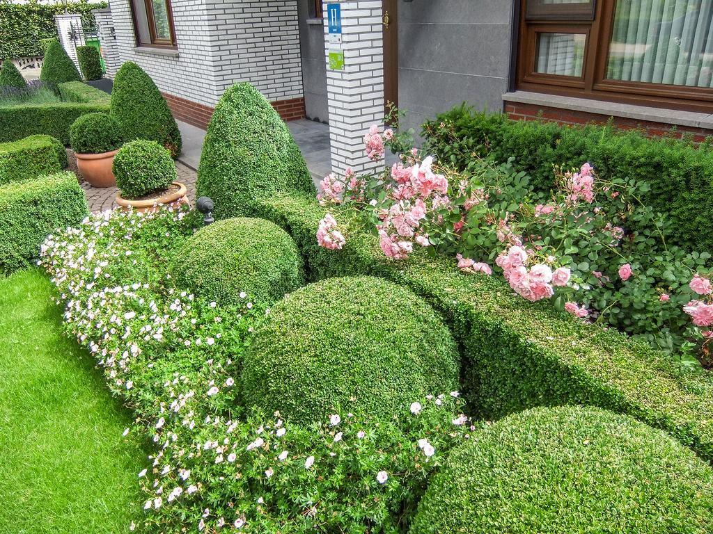 Hotel Wilgenhof Maaseik Bagian luar foto